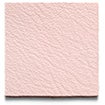 Ballerina Pink