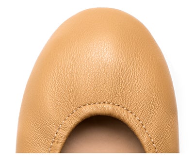 Camel