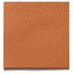 Chestnut