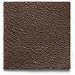 Chocolate Brown