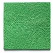 Clover Green