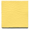 Lemon Patent