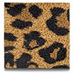 Mini Leopard