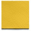 Mustard Yellow