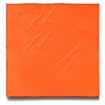 Outrageous Orange