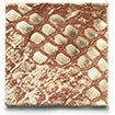 Wild Copper