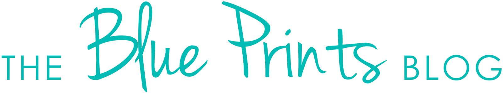 the blue prints blog